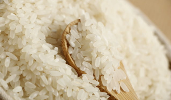 有机大米种植